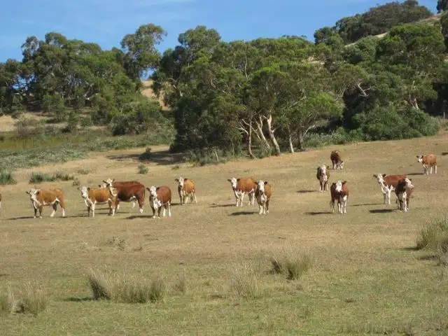 Sixth view of Homely land listing, Lot 300 Enterprise Road, Mount Compass SA 5210