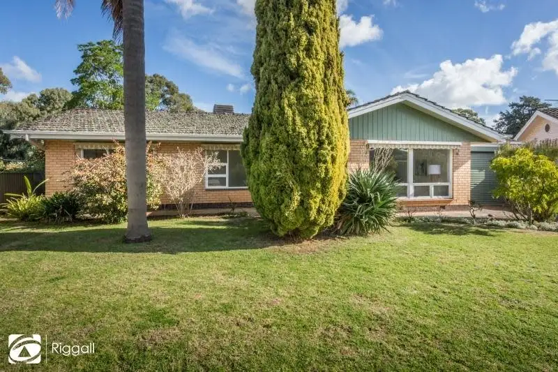 Main view of Homely house listing, 8 Strathmore Avenue, Tranmere SA 5073