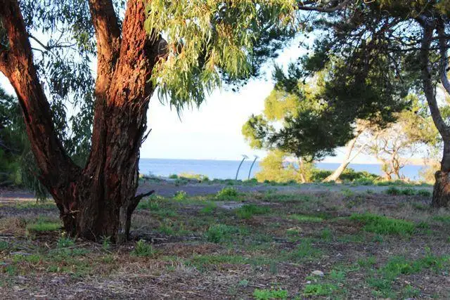 Main view of Homely house listing, 5 Oyster Point Drive, Stansbury SA 5582