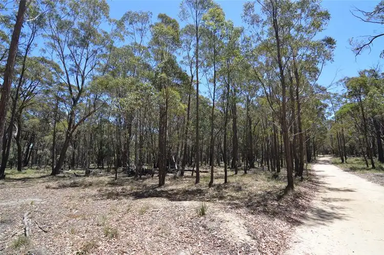 Main view of Homely rural property listing, 942 Mt Vincent Road, Ilford NSW 2850