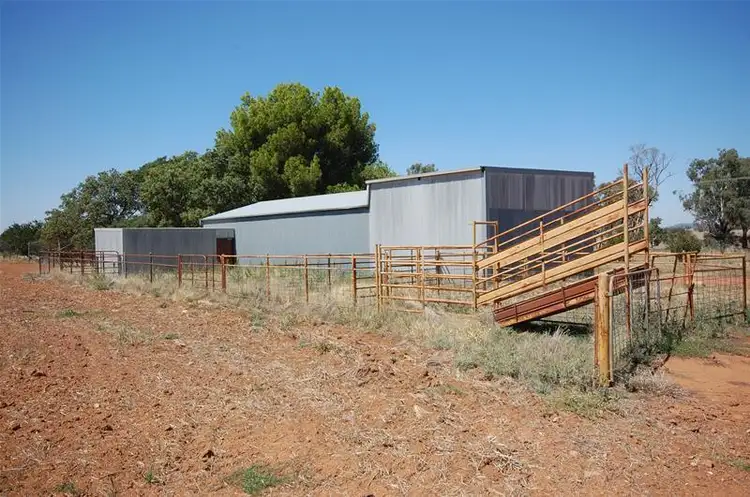 Seventh view of Homely rural property listing, 36 Hancocks Lane, The Gap NSW 2650