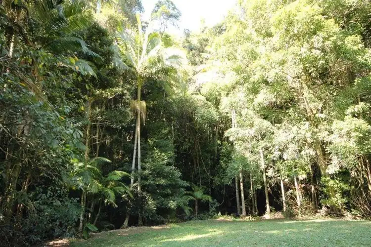 Fifth view of Homely rural property listing, 105 Poperaperan Creek Road, Karangi NSW 2450