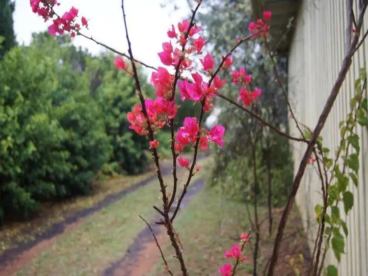 Seventh view of Homely house listing, 66 North Street, Chinchilla QLD 4413