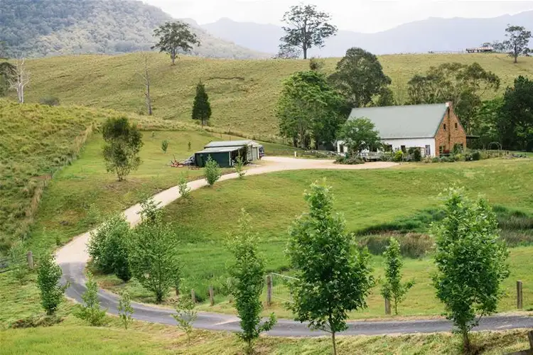 Seventh view of Homely rural property listing, 806 Limpinwood Road, Tyalgum NSW 2484