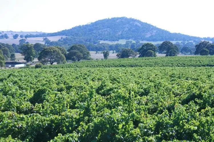 563 Sugarloaf Road, Great Western VIC 3374