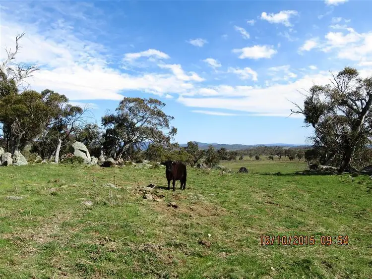 Seventh view of Homely land listing, 7 Avonside Road, Avonside NSW 2628
