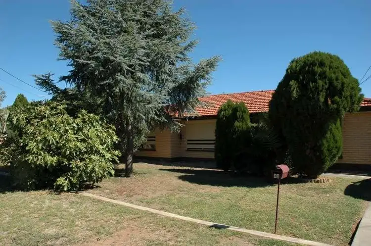 40 Avenue Road, Paradise SA 5075