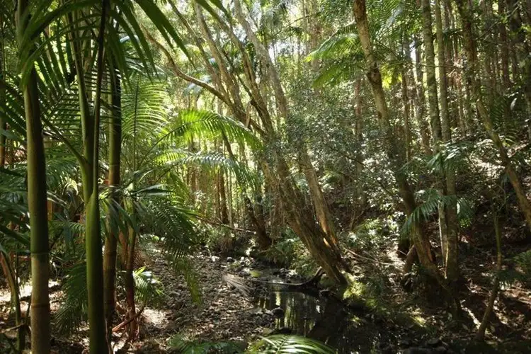 Second view of Homely rural property listing, 105 Poperaperan Creek Road, Karangi NSW 2450