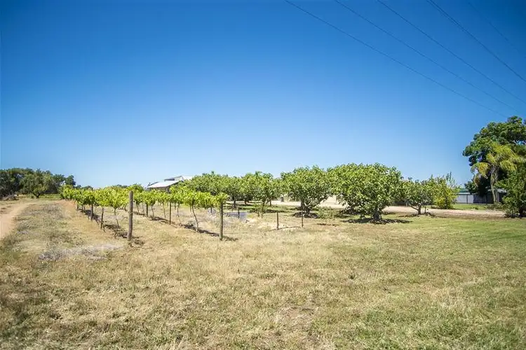 Second view of Homely house listing, 1226 Karadoc Avenue, Irymple VIC 3498