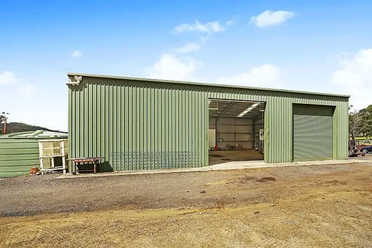 Fourth view of Homely rural property listing, 315 Jilliby Road, Jilliby NSW 2259