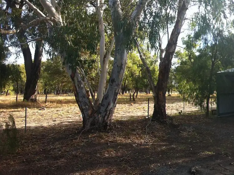 Fifth view of Homely rural property listing, 149 Gull Road, Serpentine WA 6125