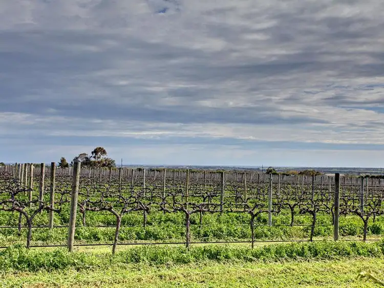Second view of Homely house listing, 491 Colville Road, Willunga SA 5172