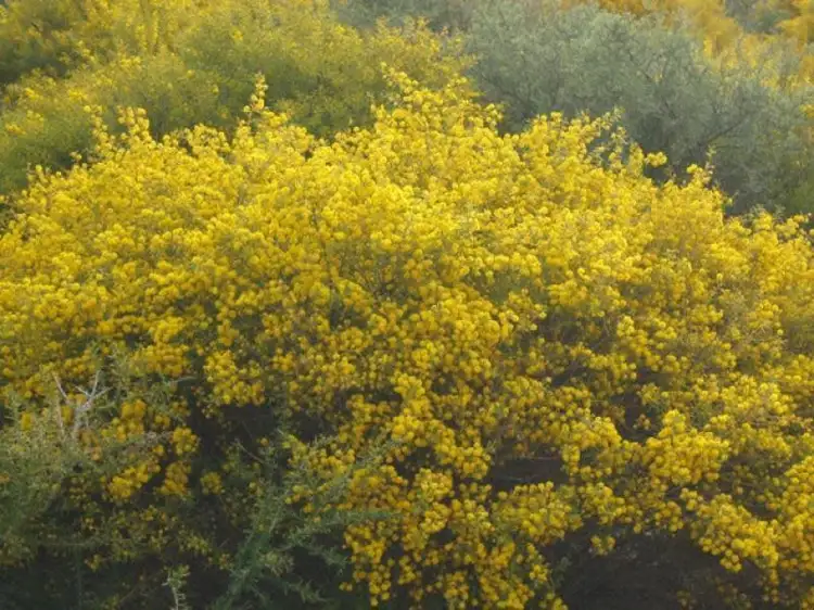 Seventh view of Homely land listing, Lot 16 Wren Way, Jurien Bay WA 6516