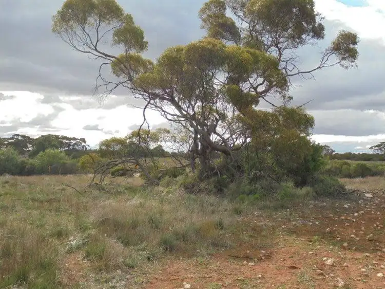 Third view of Homely land listing, Lot 11 Greenshields Road, Younghusband SA 5238