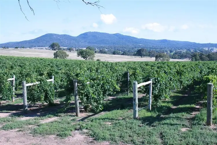 Fourth view of Homely rural property listing, 563 Sugarloaf Road, Great Western VIC 3374