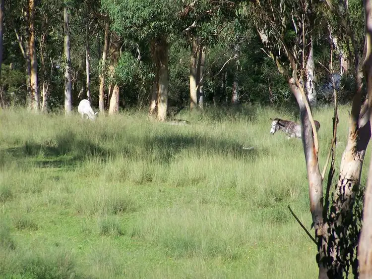 Third view of Homely house listing, Address available on request