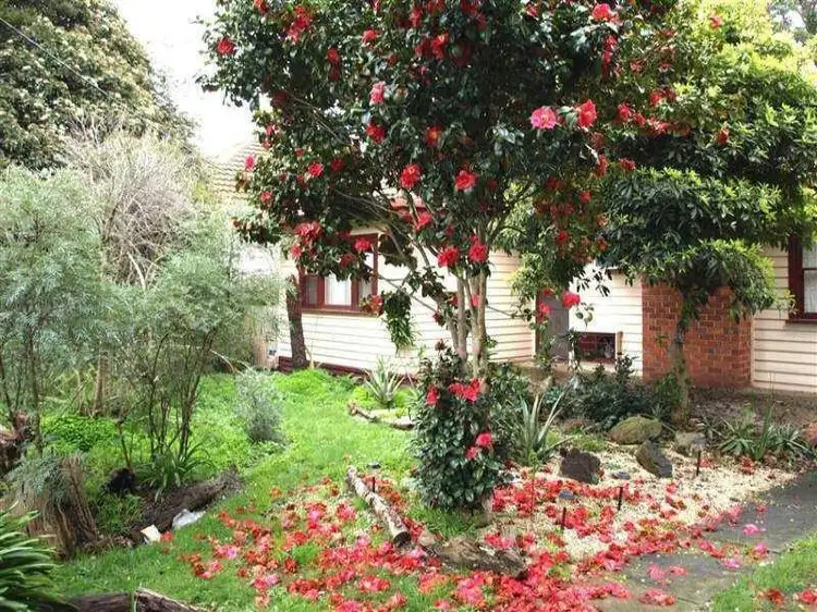 48 Bond Street, Ringwood VIC 3134