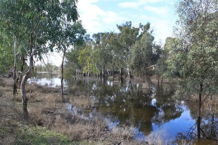 Fifth view of Homely house listing, 44 Preiss Landing Road SUNNYDALE via, Swan Reach SA 5354