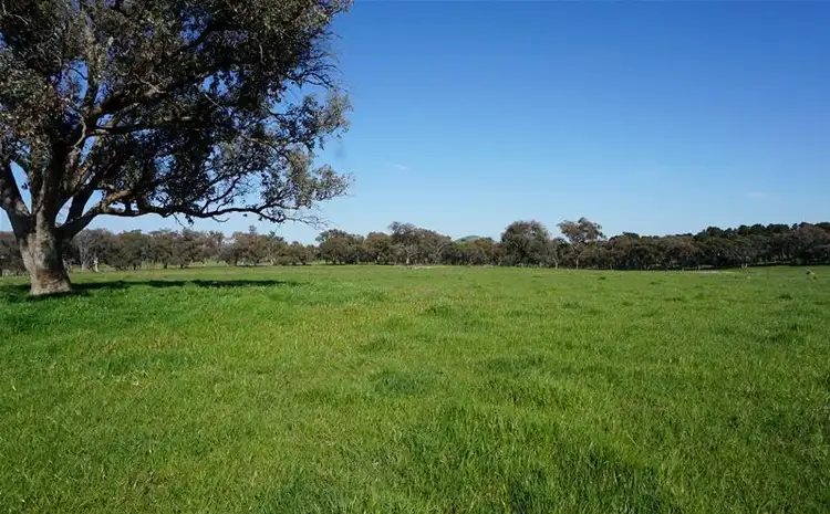 Fourth view of Homely rural property listing, 175 Carters Lane, Binalong NSW 2584