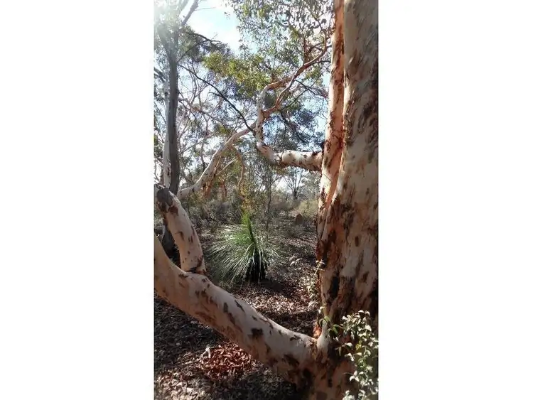 Fifth view of Homely land listing, Lot 3 Paynter Road, Clackline WA 6564