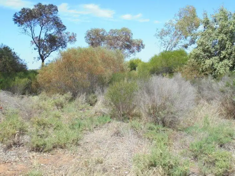 Fifth view of Homely land listing, 6 Connors Road, Swan Reach SA 5354