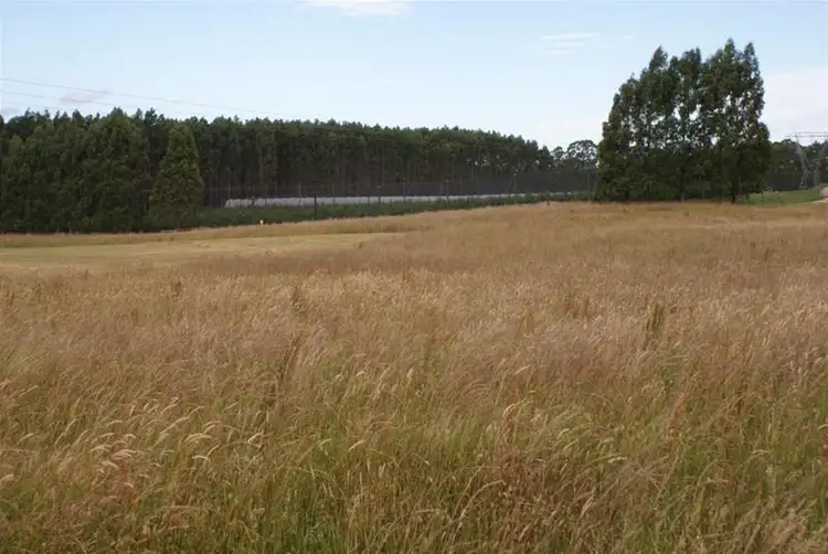 Third view of Homely house listing, 475 Dunorlan Road, Deloraine TAS 7304