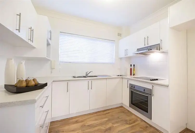 Second view of Homely apartment listing, 3/32 Orpington Street, Ashfield NSW 2131