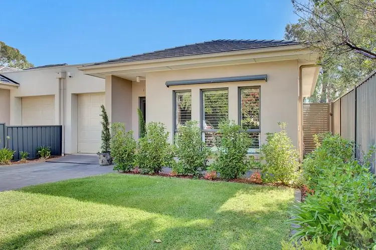 Main view of Homely house listing, 5 Burchett Avenue, Magill SA 5072
