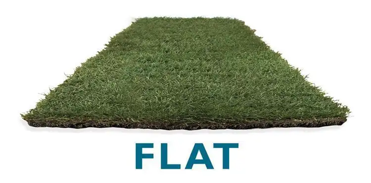 3867 Miranda Parade, Cameron Park NSW 2285