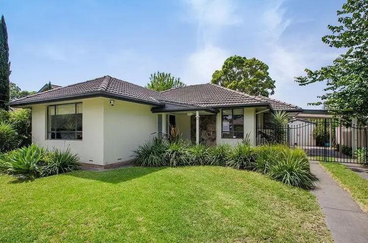 53 Gordon Road, Clarence Park SA 5034