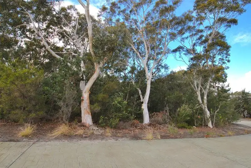 Main view of Homely land listing, Lot 53 Oakwood Copse, Callala Beach NSW 2540