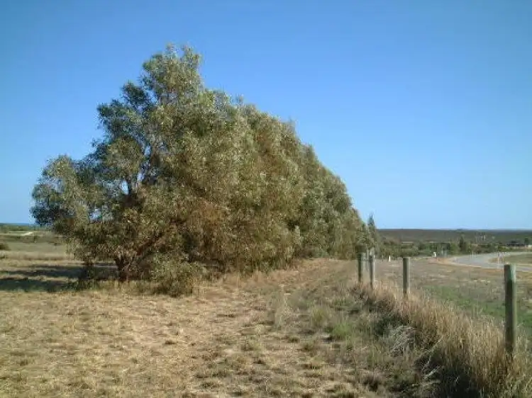 Fourth view of Homely land listing, Lot 25 Lot 25 Geronimo, Jurien Bay WA 6516