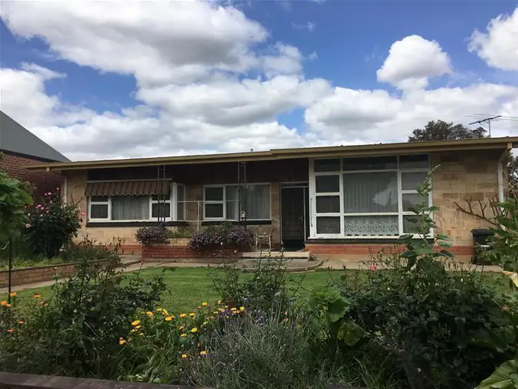 Third view of Homely house listing, 40 Luhrs Road, Payneham South SA 5070