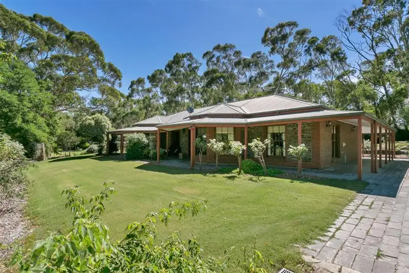 Main view of Homely rural property listing, 270 Thomas Hill Rd (Adjacent McLaren Vale), The Range SA 5172