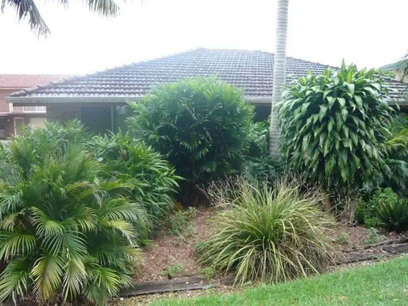 Main view of Homely unit listing, 2/125 Rous Road, Goonellabah NSW 2480