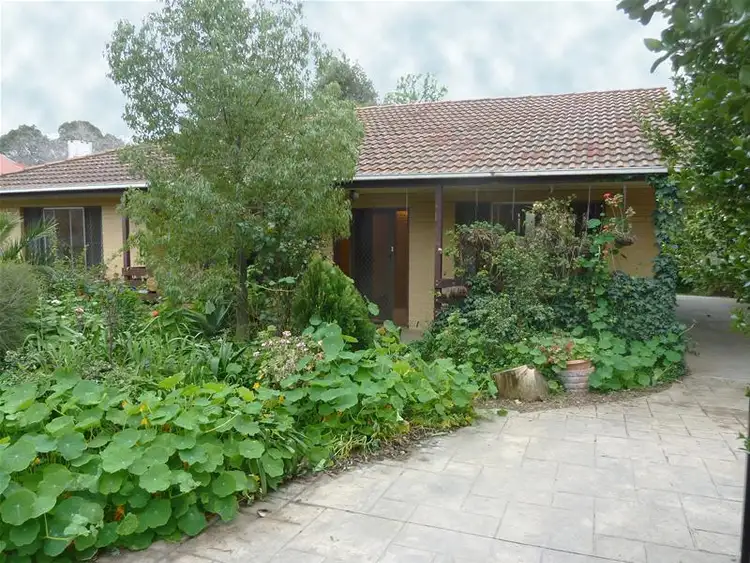 Main view of Homely house listing, 11 MacPherson Street, Clapham SA 5062