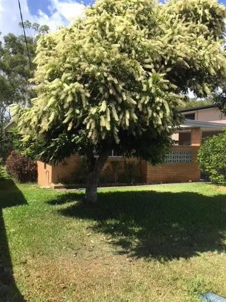 Fourth view of Homely house listing, 12 Cooper Parade, Southport QLD 4215
