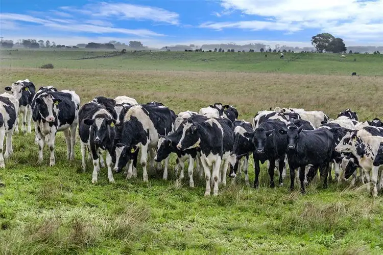 Sixth view of Homely land listing, Lot 2 Warrne Road, Wangoom VIC 3279
