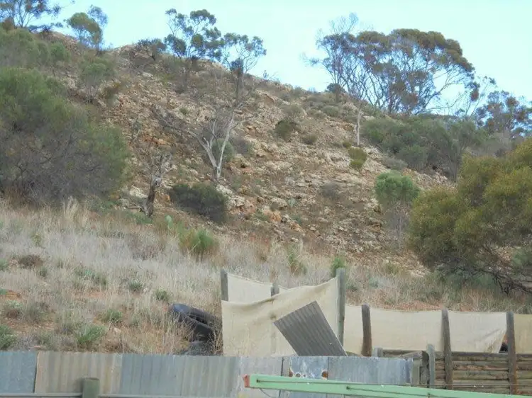Fifth view of Homely house listing, 20 Khancoban Place, Younghusband SA 5238