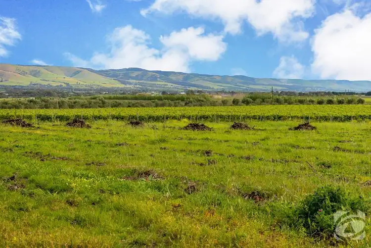 Fourth view of Homely land listing, Lot 21 Pethick  Road, Mclaren Vale SA 5171