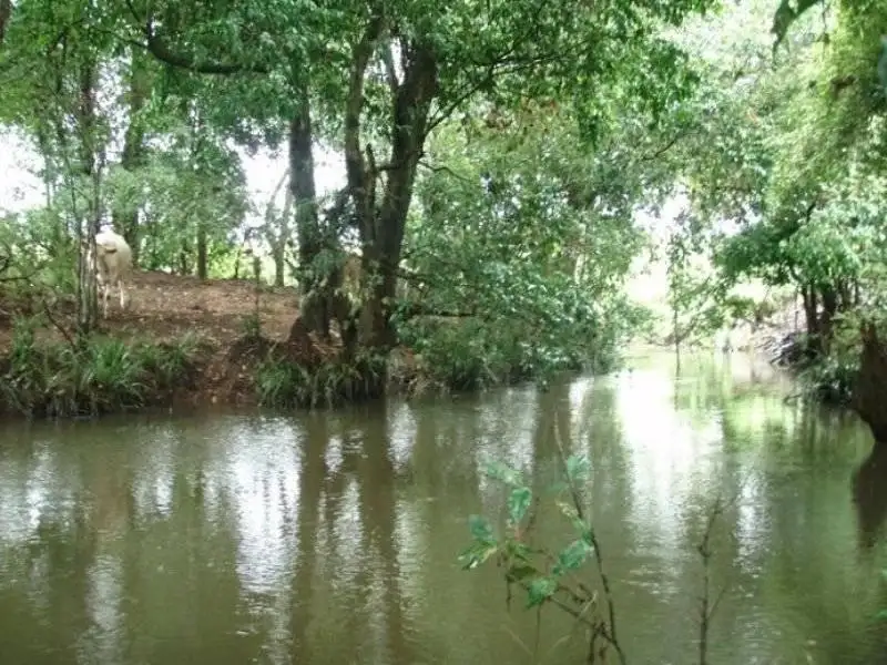 Main view of Homely land listing, 1 Webber Road, Wyrallah NSW 2480