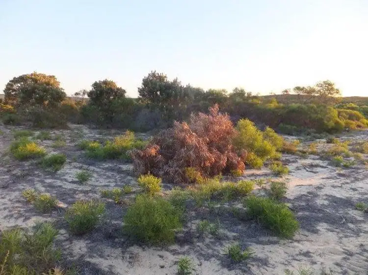 Lot 59 River Loop, Jurien Bay WA 6516