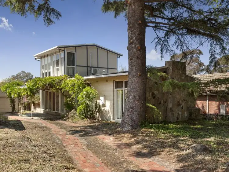 19 Montana Street, Glen Iris VIC 3146