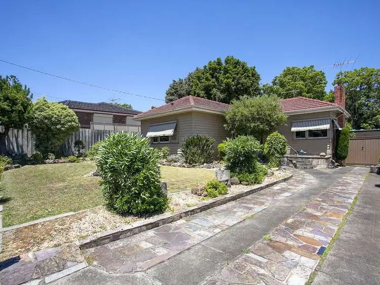 24 Pascoe Street, Glen Iris VIC 3146