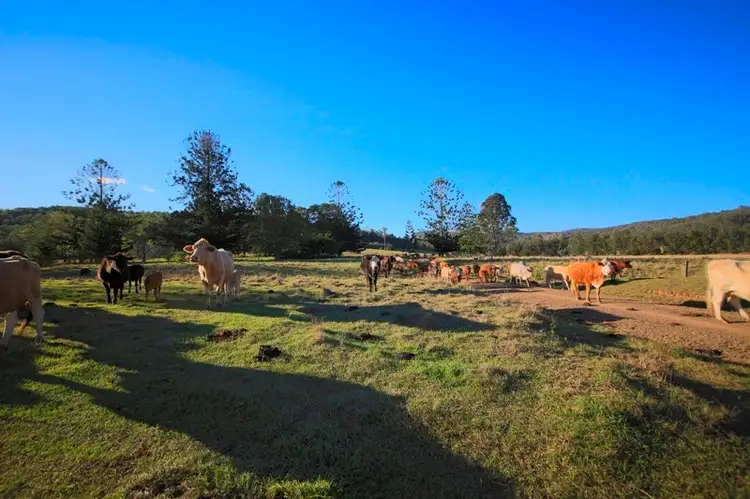 Main view of Homely rural property listing, Lots 195 & 178 Smiths Creek Road, Copmanhurst NSW 2460