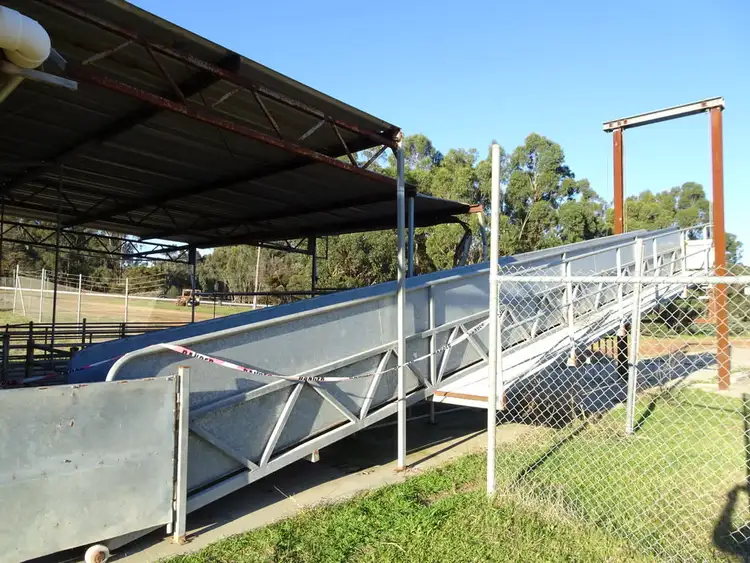 Seventh view of Homely rural property listing, Narrogin Piggery, 394 Narrakine Rd, Narrogin WA 6312