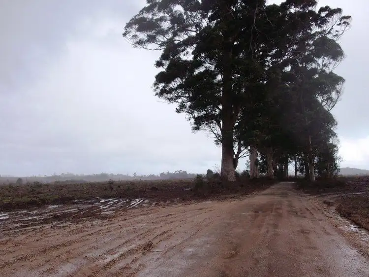 Second view of Homely rural property listing, Lots Richardson Road, Northcliffe WA 6262