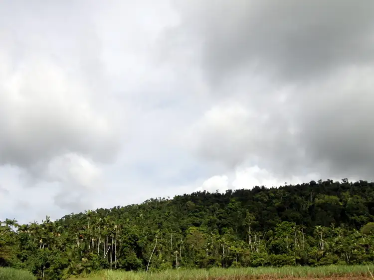 Seventh view of Homely rural property listing, LOT 2 WALTER LEVER ESTATE ROAD, Japoonvale QLD 4856
