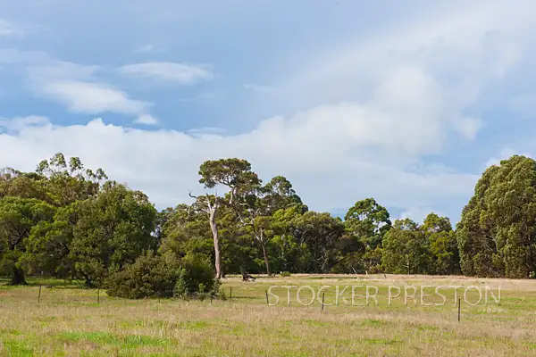 Seventh view of Homely house listing, 1972 Caves Road, Dunsborough WA 6281