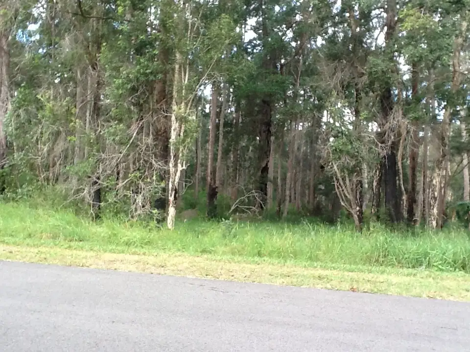 Main view of Homely land listing, 15 Butler Road, Doonan QLD 4562